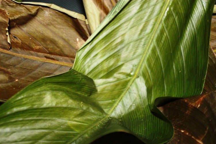 le mets de pistache (nnam ngon) (6)