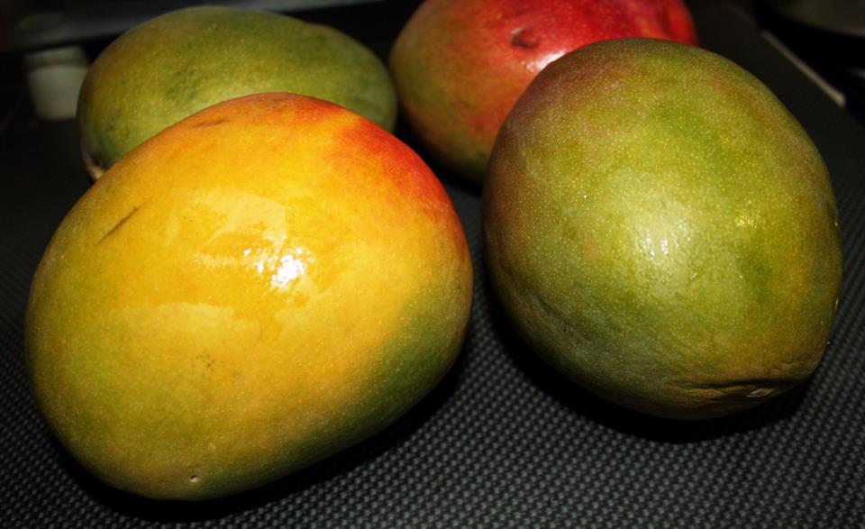 Compote de mangue pour Bébé