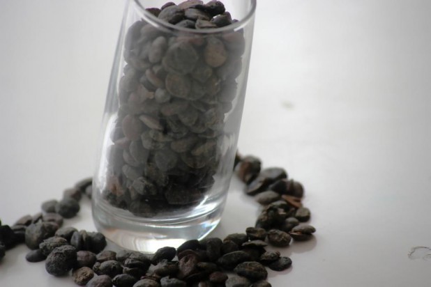 Le Netetou condiment traditionnel d’Afrique de l’Ouest