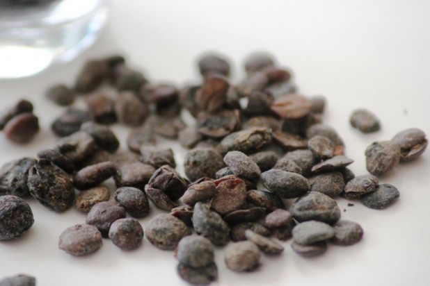 Le Netetou condiment traditionnel d’Afrique de l’Ouest