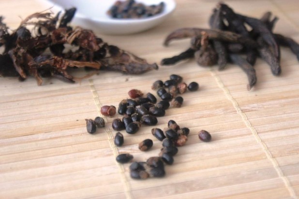café touba au poivre