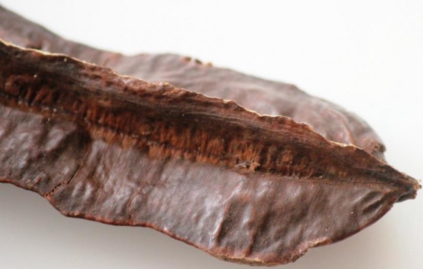 l’Esesè: fruit du Tetrapleura tetraptera