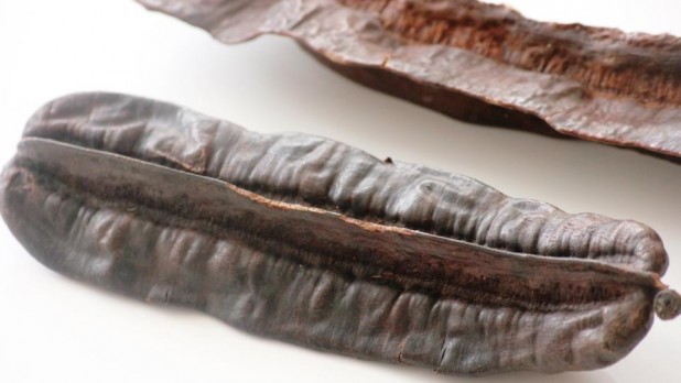 l’Esesè: fruit du Tetrapleura tetraptera