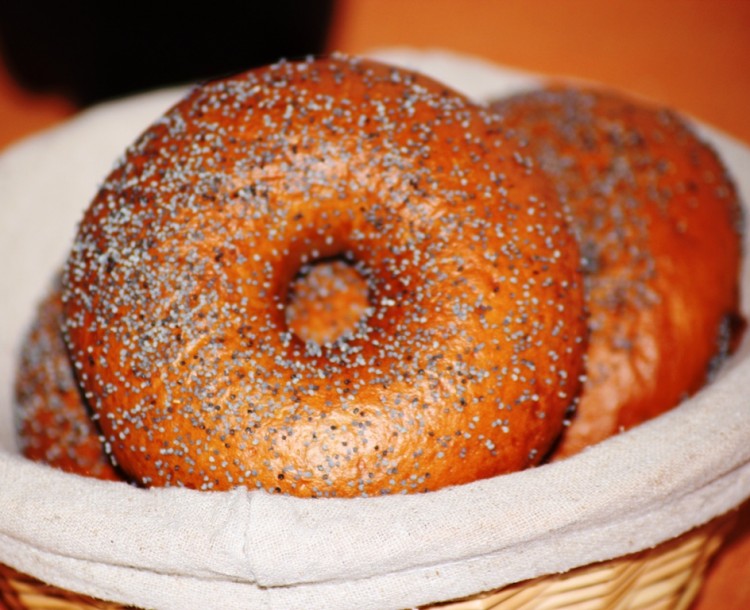 New York Bagel Style (10)