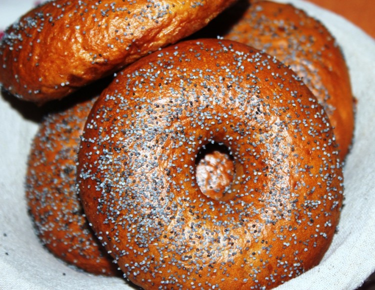 New York Bagel Style (12)