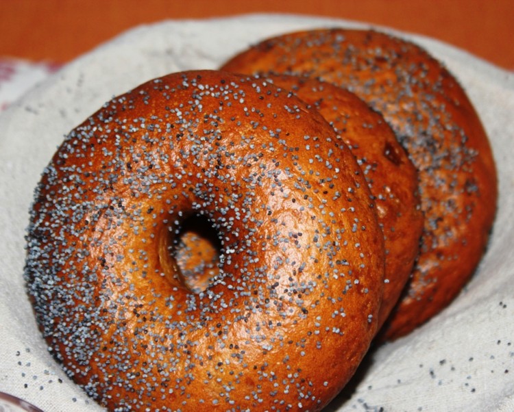 New York Bagel Style (13)