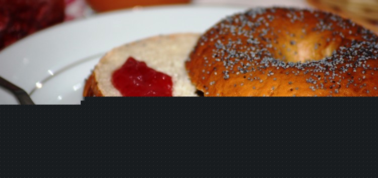 New York Bagel Style (14)