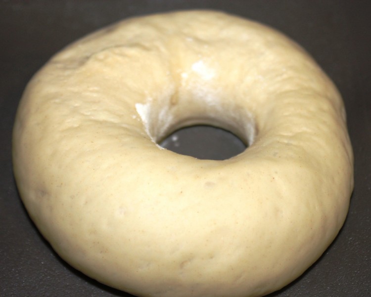 New York Bagel Style (3)