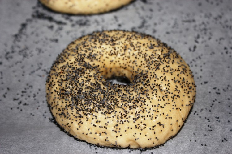 New York Bagel Style (7)