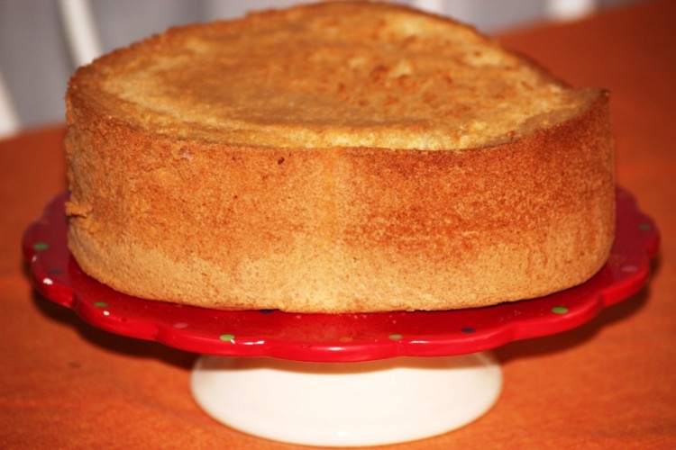 american sponge cake (2)