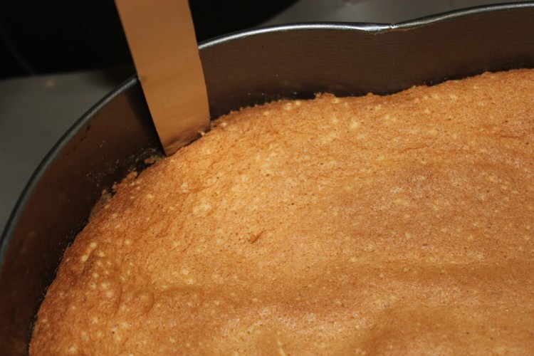 l'american sponge cake (8)