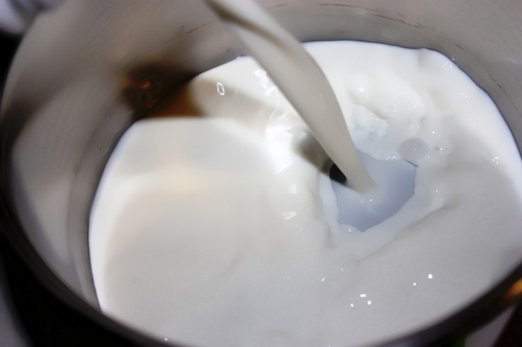 yaourt à la vanille et au rhum (1)