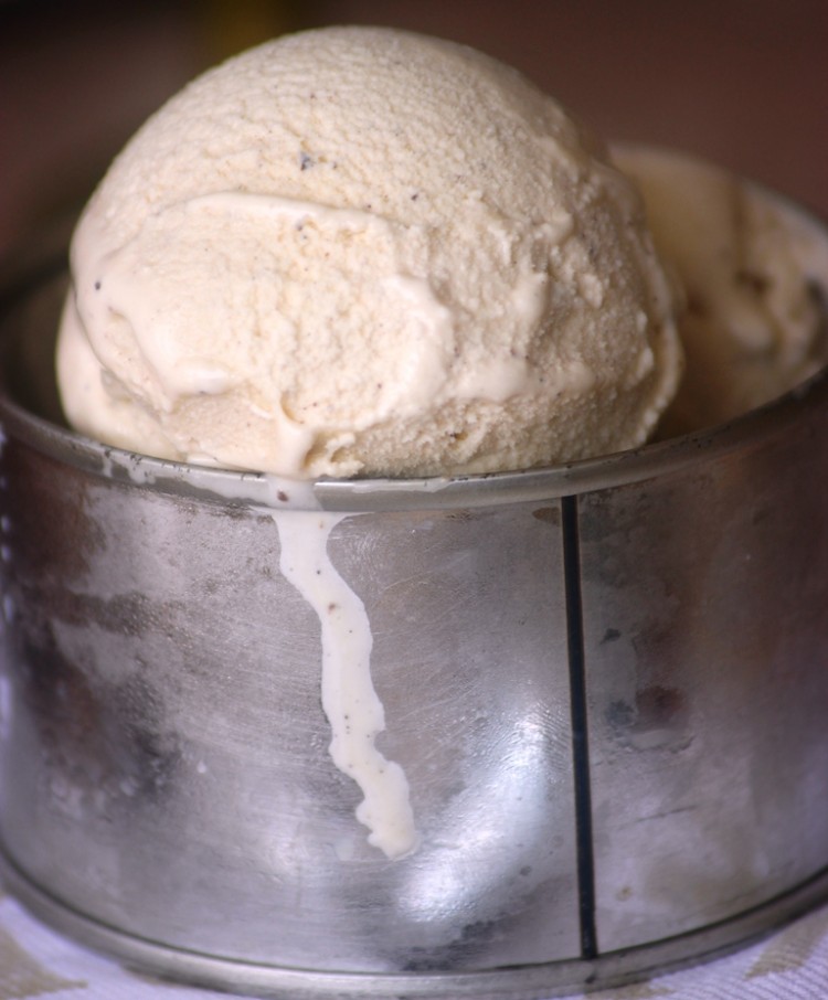 crème glacée à la vanille (14)