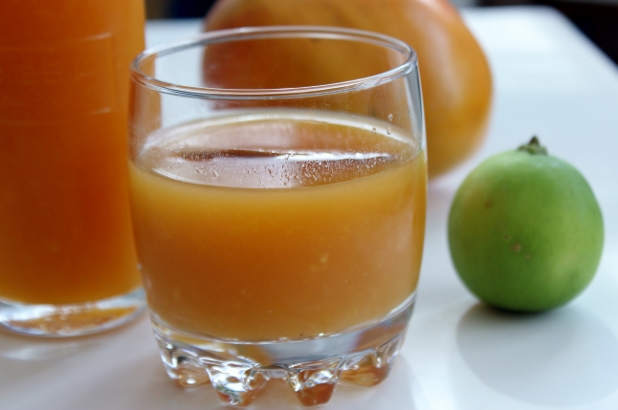COCKTAIL PLANTEUR - PUNCH ANTILLAIS 