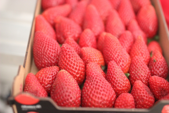 sorbet aux fraises