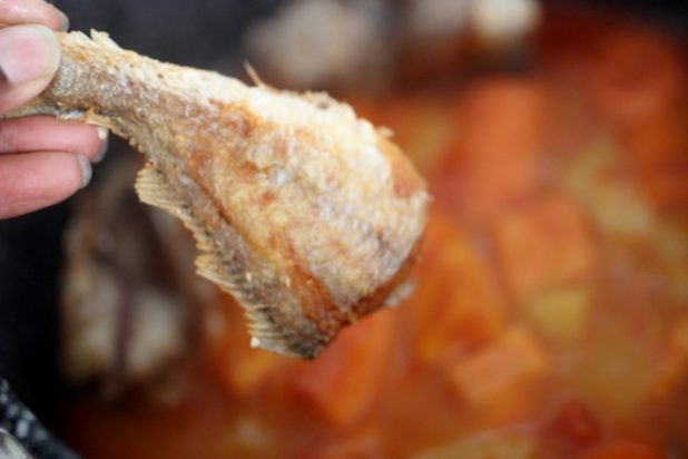 thiou-au-poisson-6