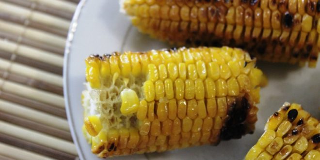 maïs grillé