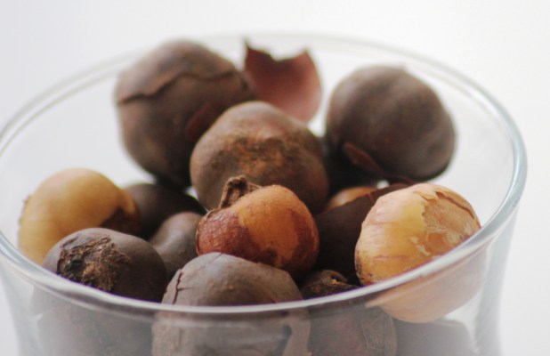 L'olum, Bobimbi, Country-Onions, Rondelles, Huyomi: (écorce et fruits de l'arbre à ail)